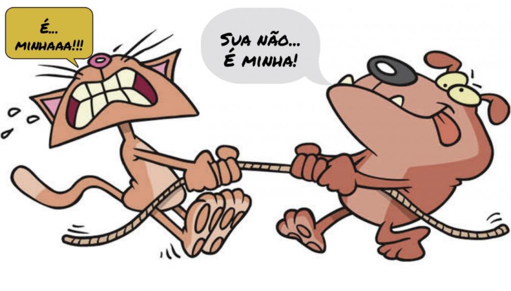 Foto: Desenho montagem