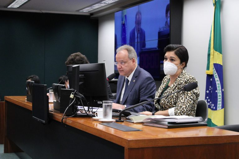 Elaine Menke/Câmara dos Deputados 