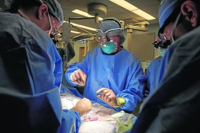 Menino nasce com dois pênis e passa por cirurgia para remoção de um (crédito: Joe Carrota for NYU Langone Health)