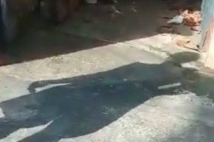 Não escapou nem a sombra, dizem moradores após espancarem ladrão