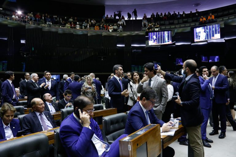 Elaine Menke/Câmara do Deputados