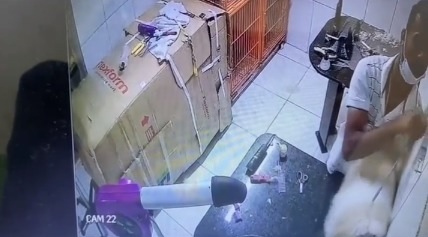 Reprodução internet
