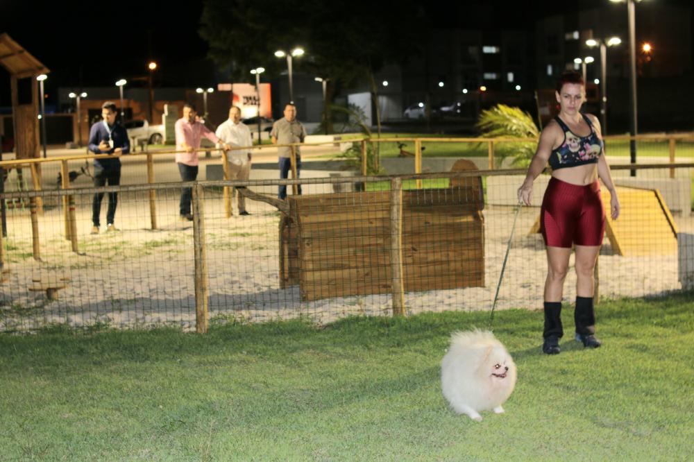 Fotos: Davi Salsa
