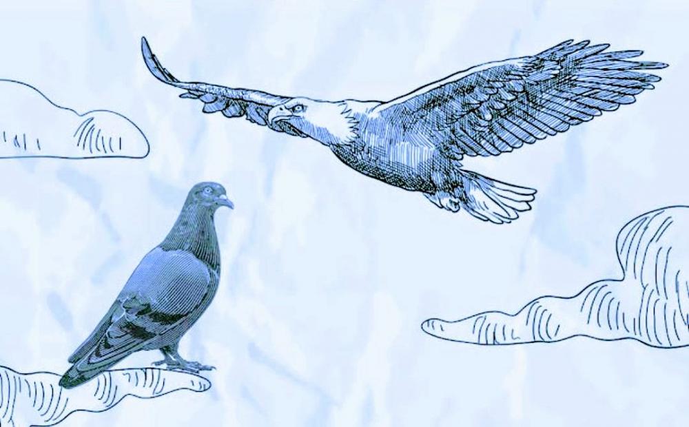 Foto: Desenho montagem