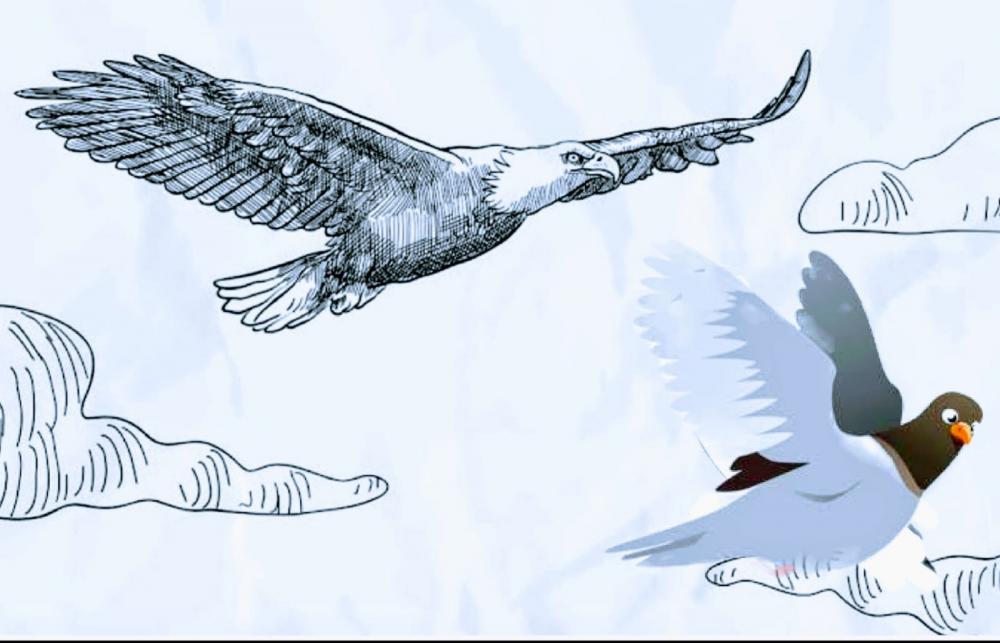 Foto: Desenho montagem