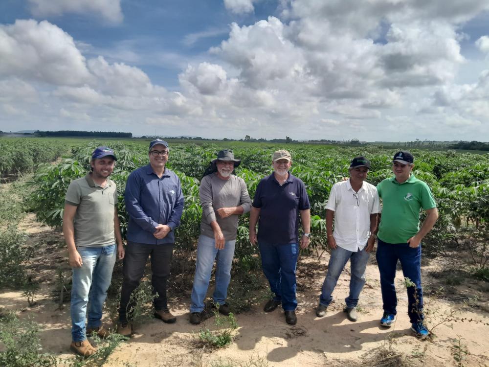 Técnicos da Embrapa visitam Arapiraca para retomada da Rede Reniva em Alagoas - foto: Célio Rocha