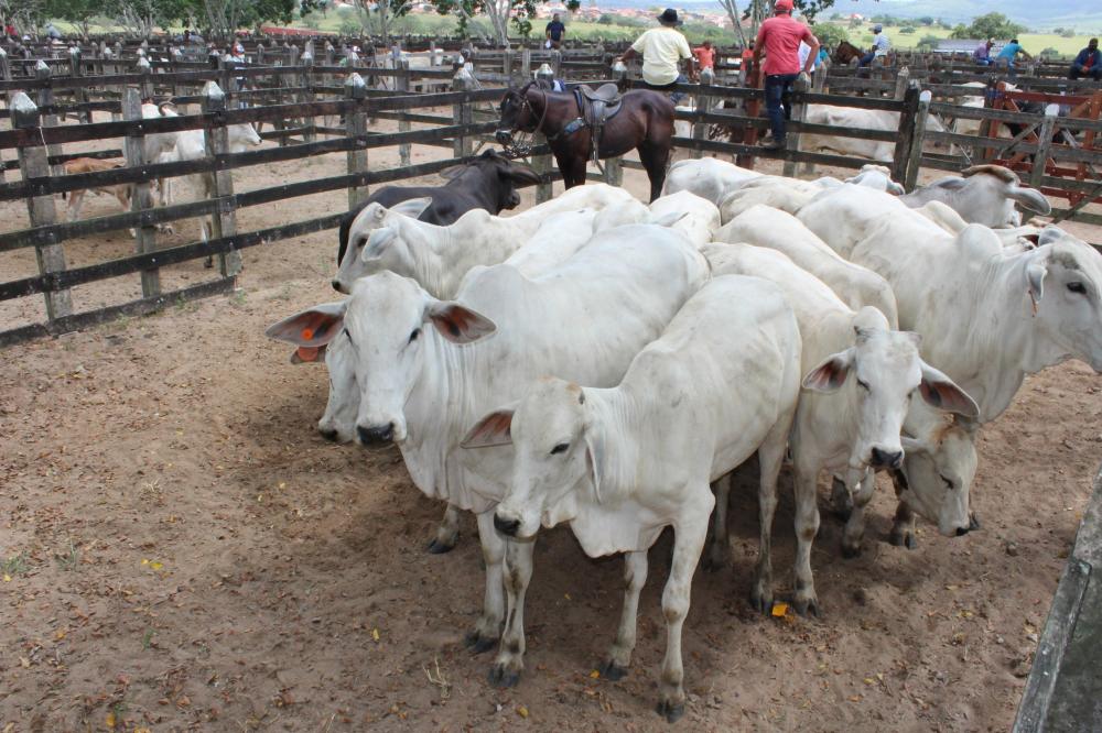 Foto: Governo de Alagoas