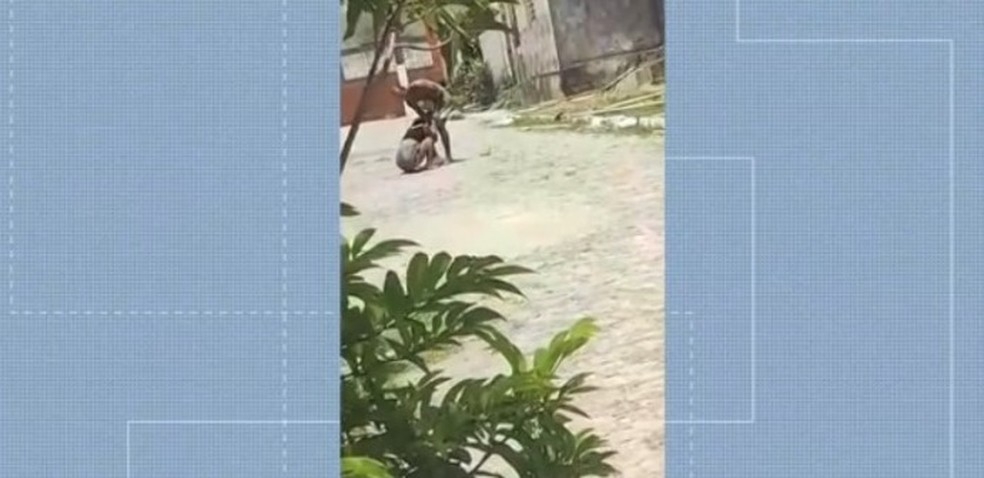 Reprodução Tv Gazeta